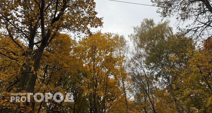 Рязанцы возмущены: в обновлённом парке Морской славы до сих пор не включают освещение