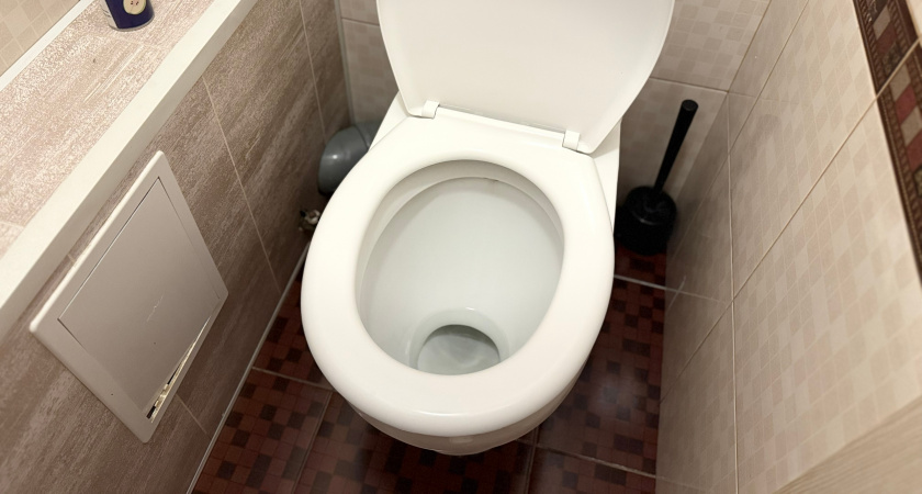 Причины появления запора и главная опасность диареи — врач-терапевт Александр Новиков дал свой ответ