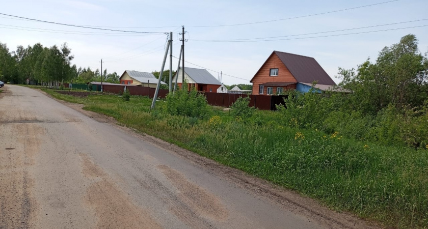 Самый доходный и лёгкий бизнес в деревне даже на 10 сотках: ещё и государство помогает - но есть один нюанс