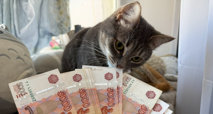 Рязанская область увеличивает поддержку семей