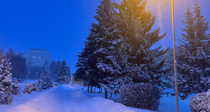 Этот декабрь станет полной неожиданностью для россиян, а Новый год преподнесет новый сюрприз — синоптики не хотели говорить до последнего