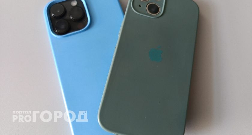 «Заблокируйте уже сами себя»: рязанцы с иронией отреагировали на ограничение FaceTime