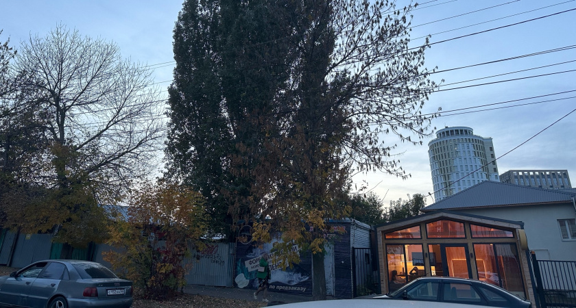 Благоустройством Рязани занимаются талантливые «художники»: очередное творчество было замечено на ул. Циолковского