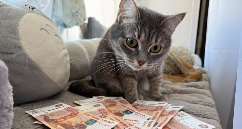 Тарифы ЖКХ подорожают в Рязанской области