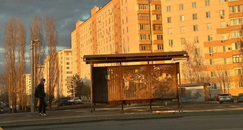 Рязанцы остались возмущены месторасположением площадки для собак в Канищеве