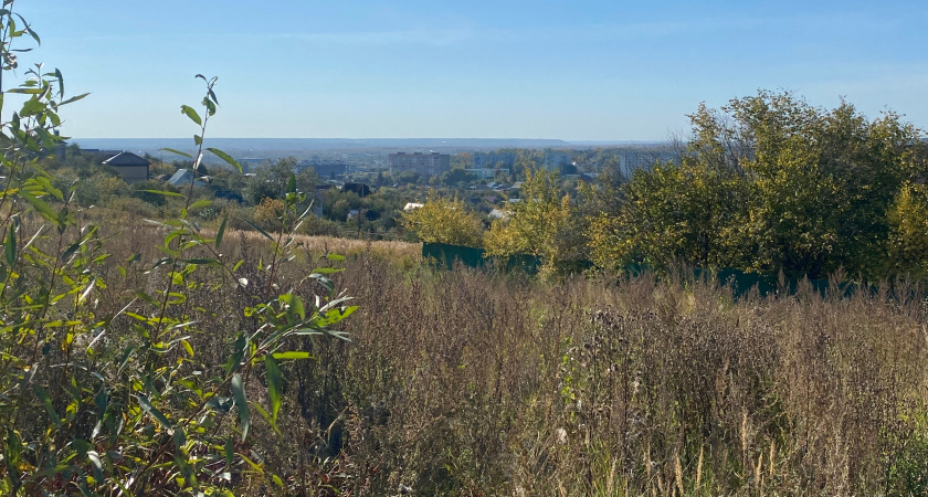 В Рязанской области подошла к концу плановая осенняя инвентаризация лесных культур