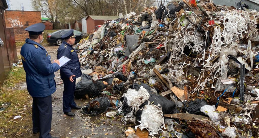 Незаконная свалка с химико-токсикологическим ущербом почве обнаружена под Рязанью