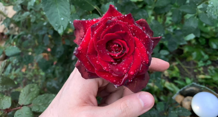 В Рязанской области ожидают небольшие осадки в конце рабочей недели