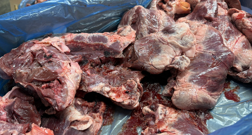 В рязанском придорожном кафе нашли тараканов и сомнительное мясо