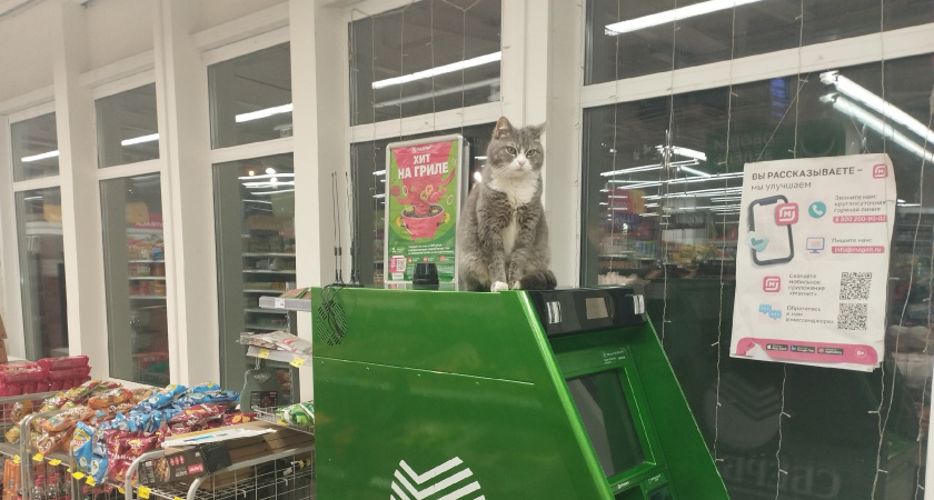 Рязанцы стали часто жаловаться на работу банков