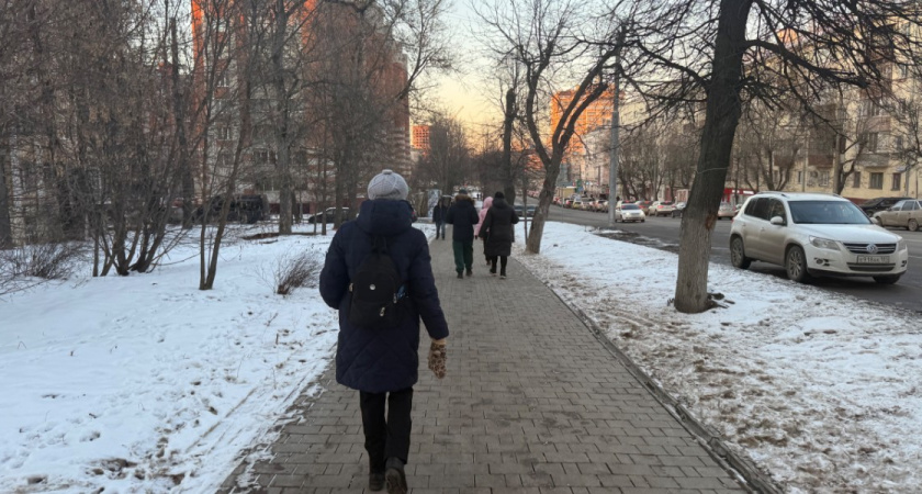 Рязанские власти рассмотрели вопрос цыган и Стратегию нацполитики