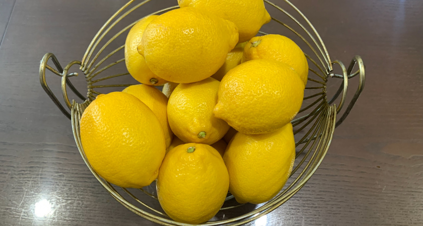Экзотика из деревни: как поволжское село стало центром разведения лимонов - экзотический фрукт растет в домах круглый год