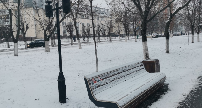 Права инвалидов нарушаются в Рязанской области