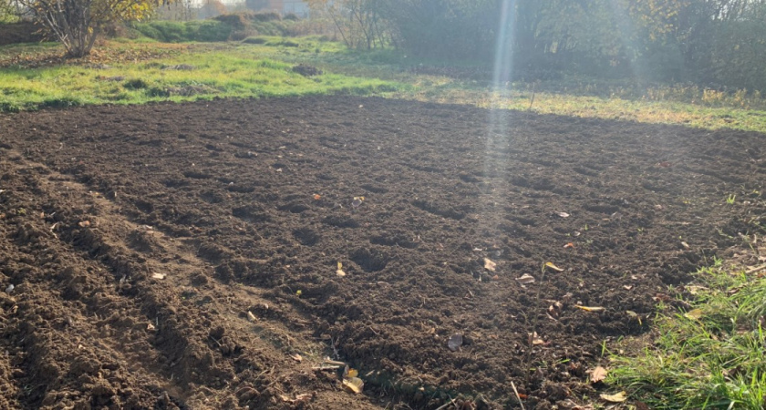 Поставлен рекорд урожая в Рязанской области