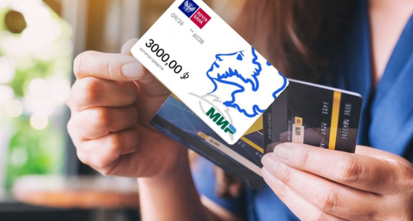 Рязанцы оформили более 82000 «Пушкинских карт»