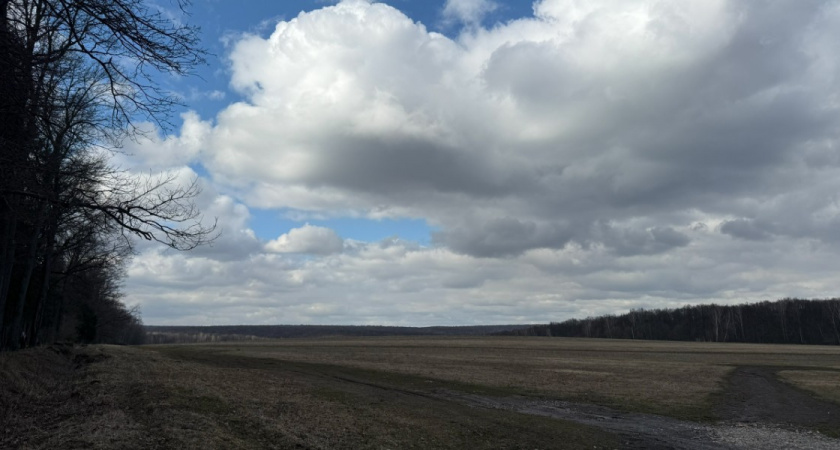 Пропавшую молодую рязанку нашли закопанной в поле
