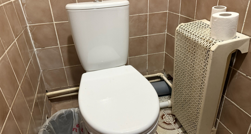 Почему японцы садятся на унитаз лицом вперед: причина удивляет — но логика в этом есть