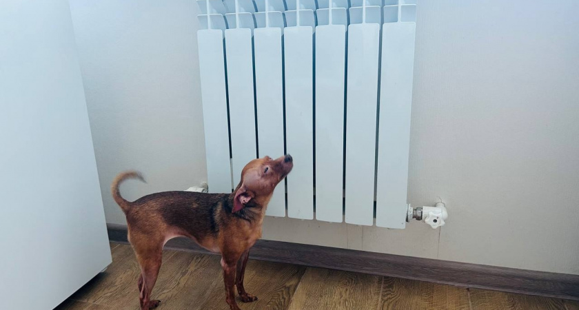 Отопление - по-прежнему главная проблема рязанцев: жители ул. Забайкальская и ул. Белякова не могут совладать с новой котельной