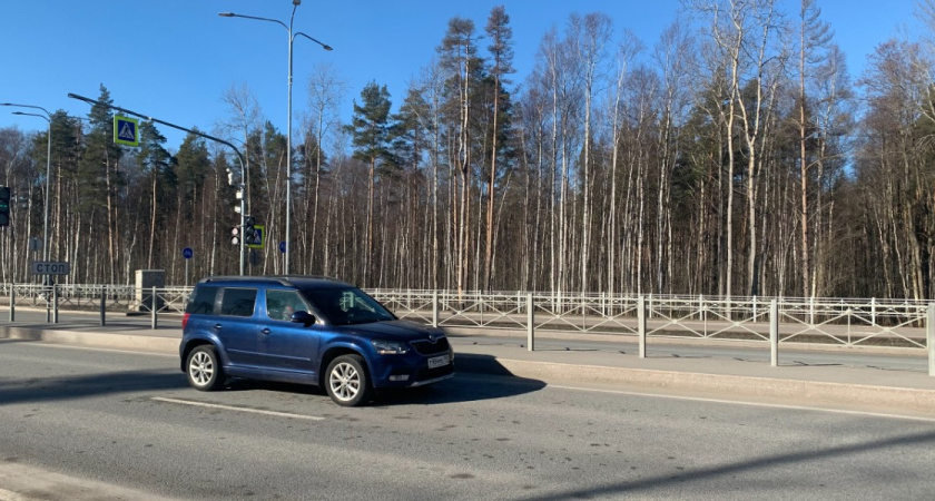 В Рязанской области машина вылетела в кювет и загорелась