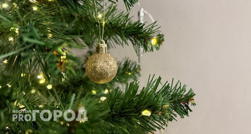 «Новогодняя столица — в песке и темноте»: рязанцы спорят с праздничным отчётом губернатора