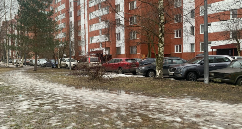 Новый год станет разочарованием для россиян: синоптики раскрыли новейший прогноз погоды — мы ждали совсем не этого