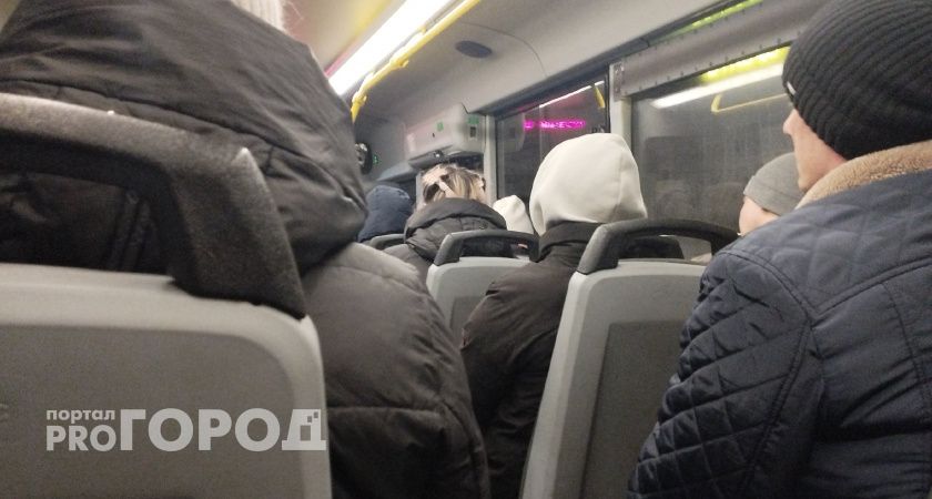 «Давайте сразу 100?»: рязанцы возмущены ростом цен на проезд в маршрутках