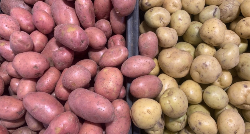 Осужденному за взятку картошкой рязанскому бывшему прокурору вернули классный чин