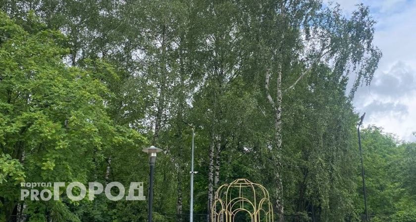 «Сначала зелёная зона, потом дорога»: рязанцы возмутились планами сократить перечень парков и скверов