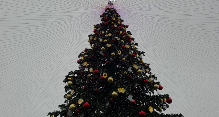 Юные рязанцы снова могут позвонить на горячую линию Деда Мороза