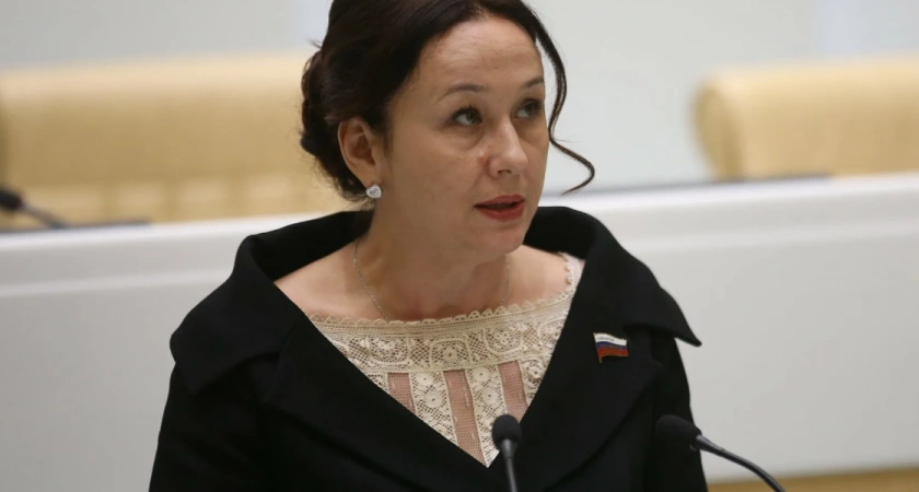 В Рязани прошло заседание по делу бывшего сенатора Ирины Петиной