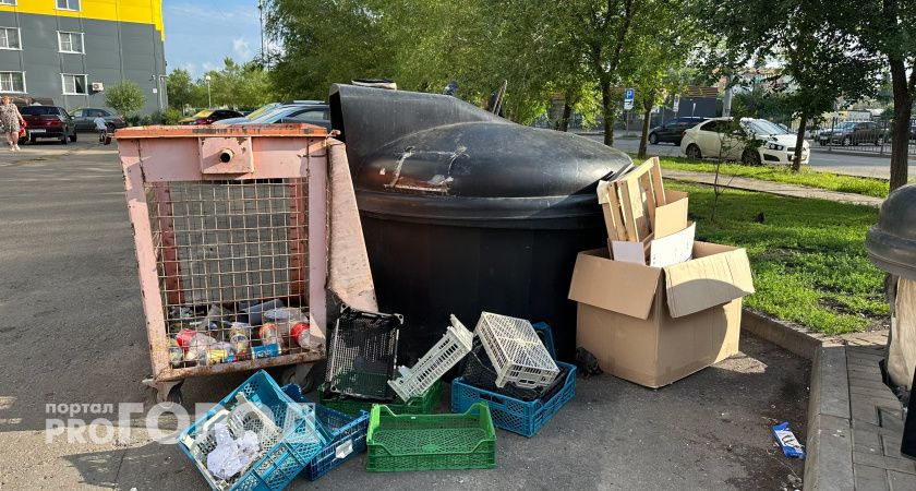 «Платим больше — мусора меньше не становится»: рязанцы возмущены ростом тарифов на вывоз ТКО
