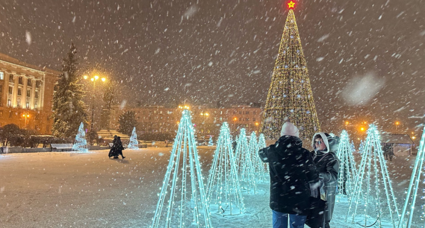 Высота снежного покрова в Рязани вырастет на 8-10 см