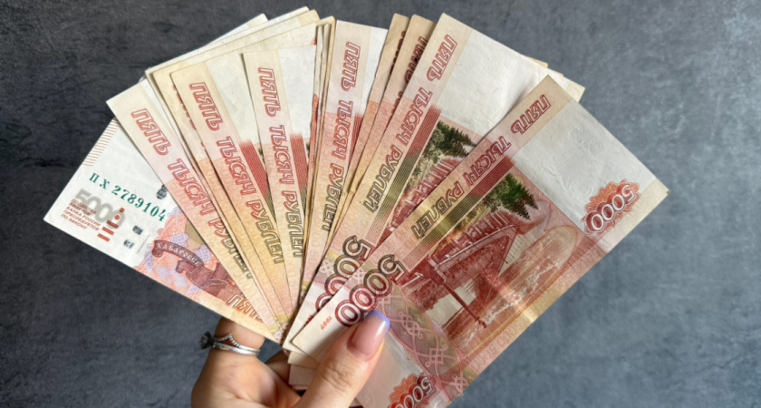 Рязанская компания сумела уменьшить крупный штраф за загрязнение почвы