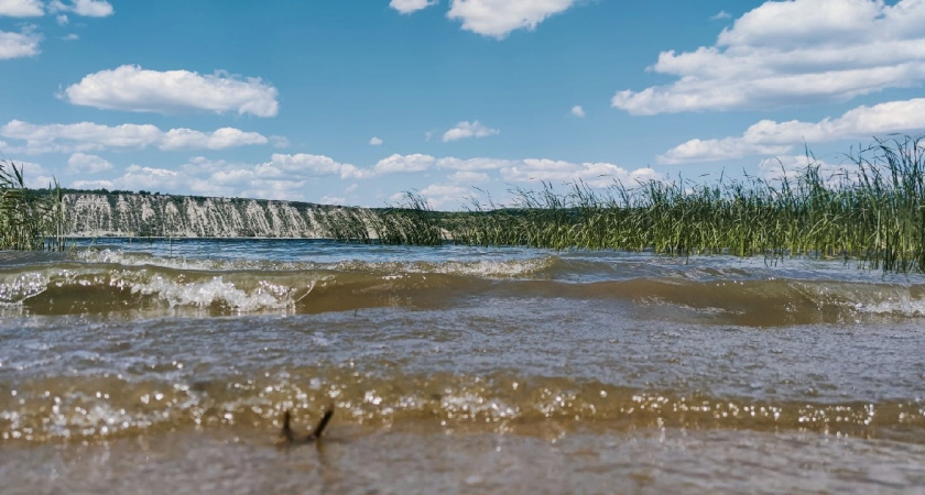 В Рязанской области к ответственности привлекли предприятия за сброс сточных вод