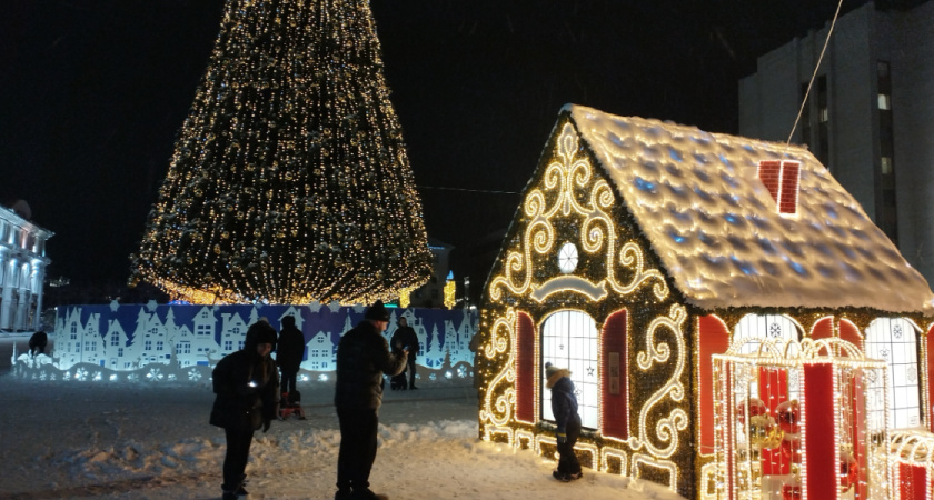 Куда сходить в Рязани на Новый год