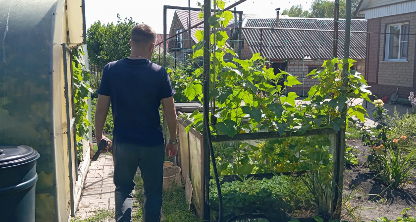 Переехали жить в деревню и только спустя год осознали, почему в деревнях больше не живут сельским хозяйством - причина всегда была на виду