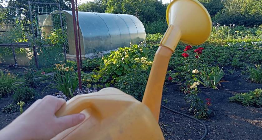 Всё "бросовое" - в дело: 15 полезных идей для дачи без лишних расходов - хитроумные вещицы своими руками