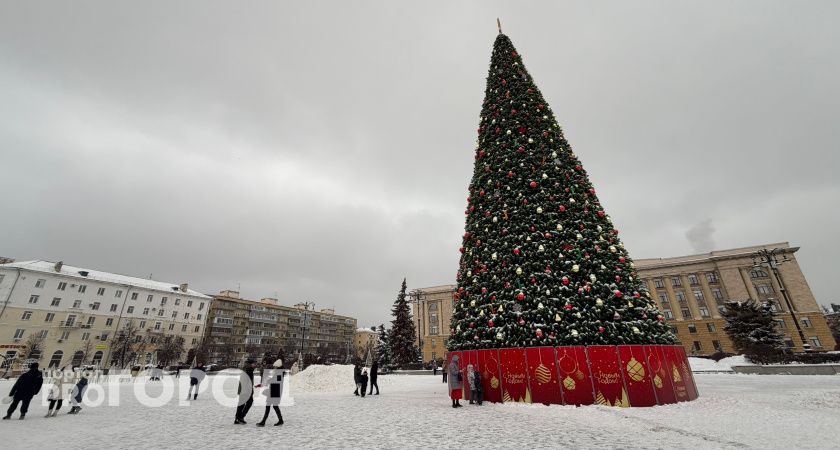 «Праздник по расписанию»: рязанцы признались, что новогоднего настроения почти нет