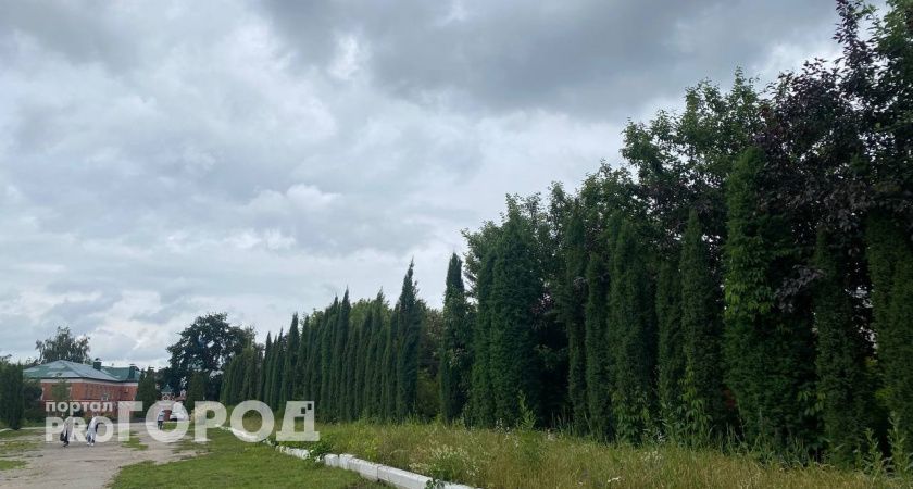 «По отчётам чисто, по ощущениям — нет»: рязанцы скептически отнеслись к данным о качестве воздуха