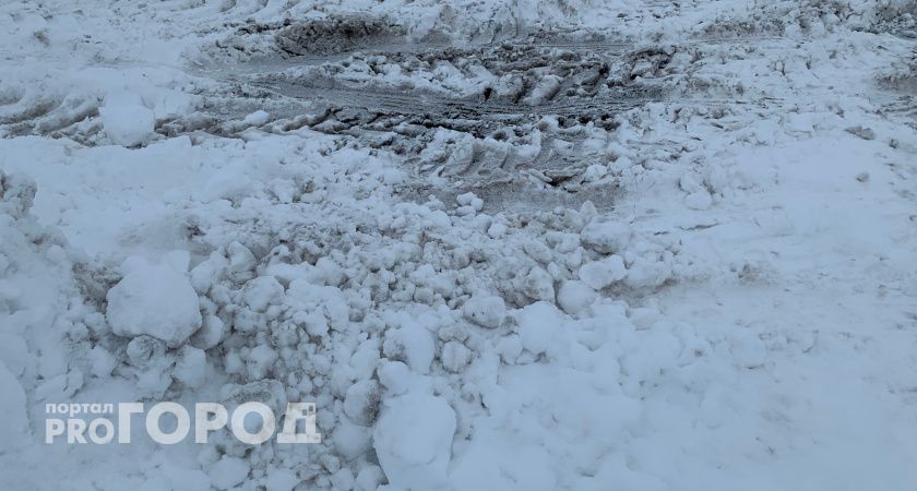 В Рязани за ночь вывезли 750 кубометров снега