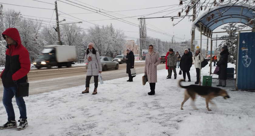 В Рязани люди не могут добраться до мест из-за долгого отсутствия автобусов