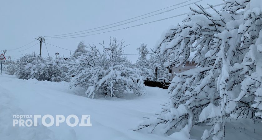 Туристы из Ростова-на-Дону пожаловались на неубранный снег в Рязани