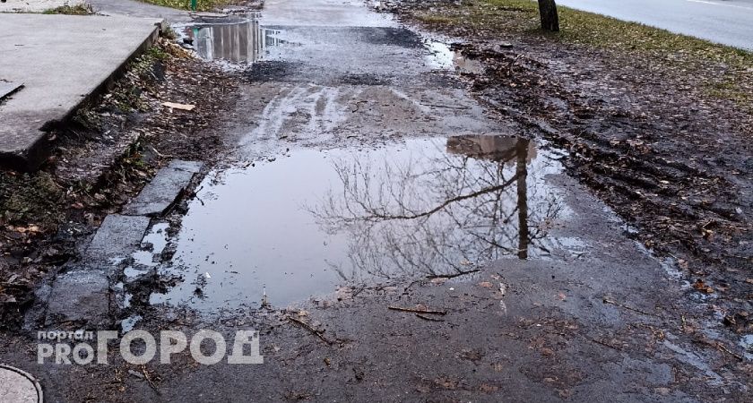 «Люди по колено в воде»: рязанцы поддержали жалобу на лужу у остановки, но не верят в быструю реакцию властей