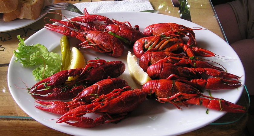 10 вкуснейших блюд России: мой личный выбор на основе 17 лет путешествий - гастрономический клад