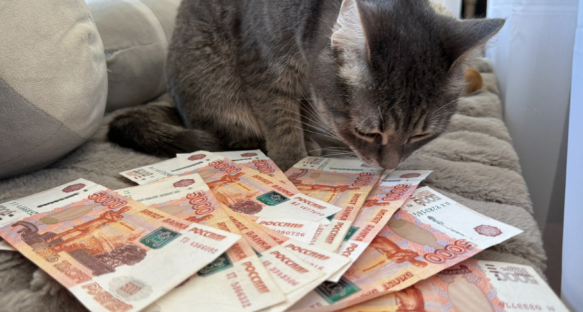 Бывшего губернатора Рязанской области обвиняют в получении взяток на 272 млн рублей