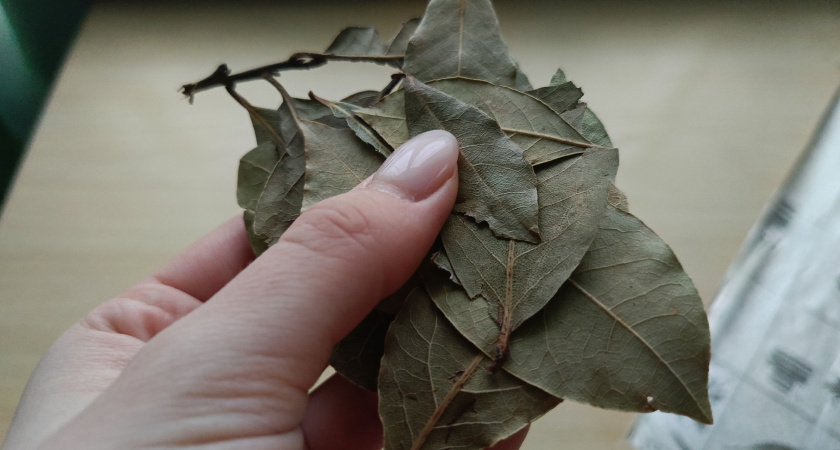 Зачем советские хозяйки клали в сахар лавровый лист? Очень полезная хитрость - но о ней мало кто знает