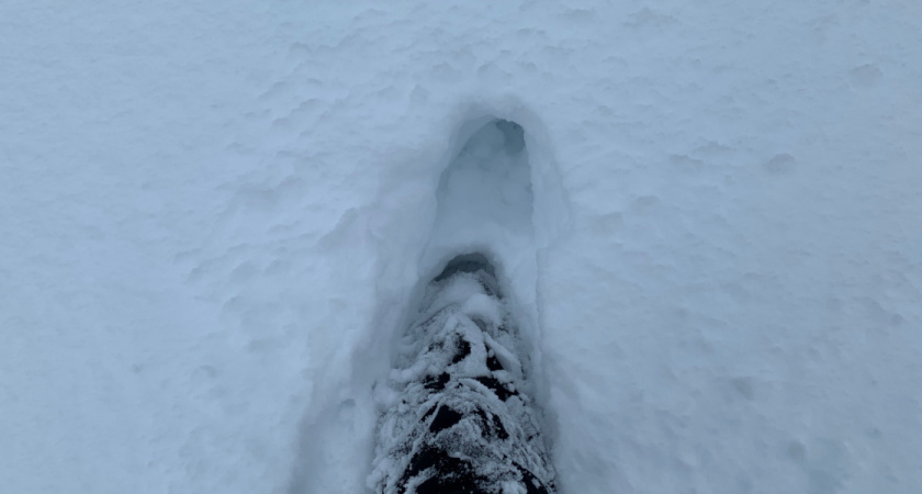 Стало известно, кто в Рязани зарабатывает на вывозе снега из города и почему они не справляются