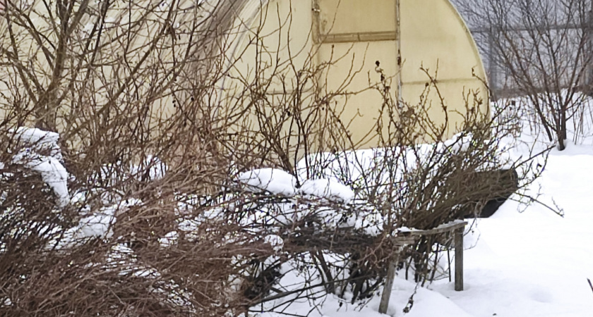 Уберите его немедленно: не всякий снег годится для укрытий: вот что нужно сделать дачникам на участке в январе
