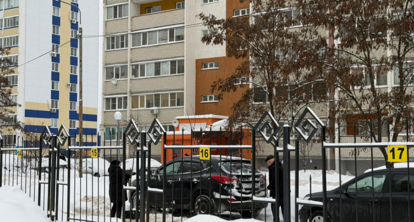 Синоптики рассказали, когда ждать самых сильных морозов в Рязани