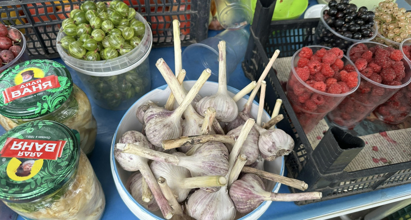 В Рязани уже десятки человек оштрафованы за торговлю 